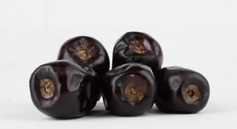 kurma bam